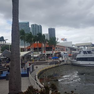 Meet your Posher, Jose